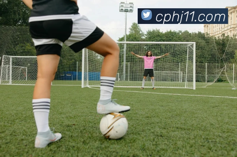 网上购彩票平台生态图